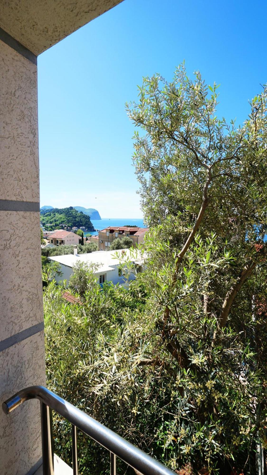 Medin Apartments Bluvista Petrovac Extérieur photo